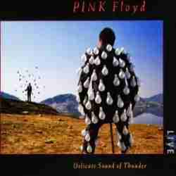 Descargar Pink Floyd Delicate Sound Of Thunder 1988 MEGA